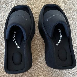 Alexander want platform